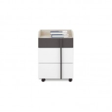 Datorgalda konteineris REMO 11